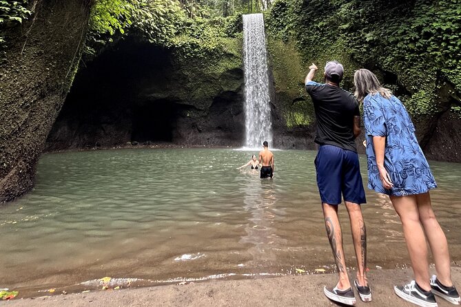 Ubud : Rice Terrace, water Temple and Waterfalls Private tour - Tegalalang Rice Terrace: Begin Among Bali’s Green Fields