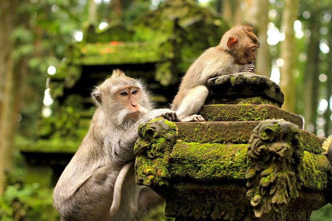 Ubud Sacred Monkey Forest & Art Village Tour - The Sacred Monkey Forest and Its Temple Setting