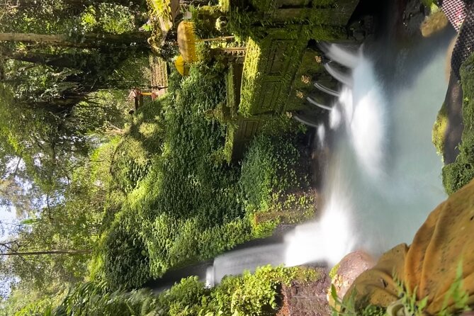 Ubud Shamanic Healing and Purification Ceremony - What this Ubud ceremony is really about