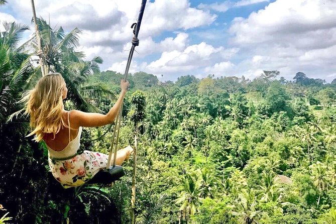 Ubud Sightseeing, Holy Water Temple & Waterfall - What this Ubud day is really designed to do