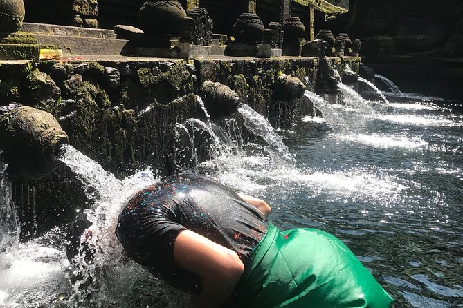 Ubud Sightseeing, Holy Water Temple & Waterfall - What the $40 price includes, and what it does not