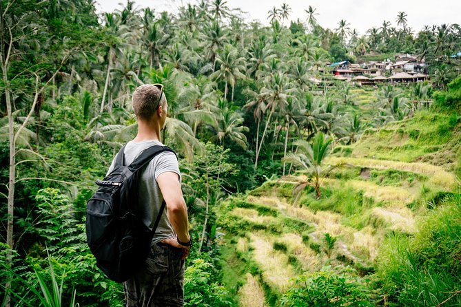 Ubud Small Group Tour: Monkey Forest, Tegalalang Rice Terraces and more - Tegalalang Rice Terraces provide the picture-postcard stop