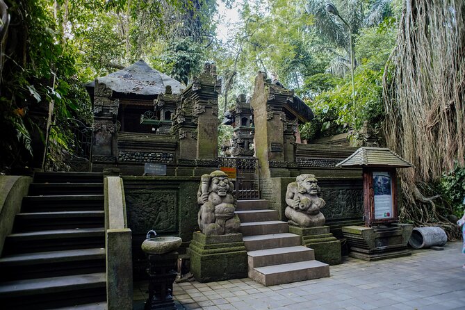 Ubud Small Group Tour: Monkey Forest, Tegalalang Rice Terraces and more - How the $18 price really works
