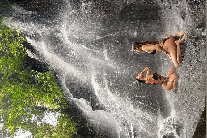 Ubud Surounding Tour - Timing, transport, and the value of $63