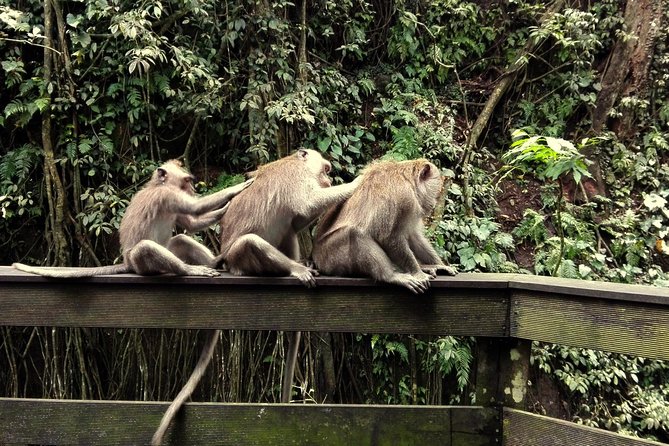 Ubud Surounding Tour - What to pack and how to prepare