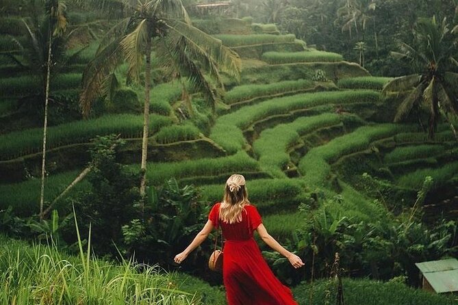 Ubud: Swing - Monkey Forest - Waterfall - Temple - Rice Terraces - Art Crafts - Why a private car makes this Ubud route work