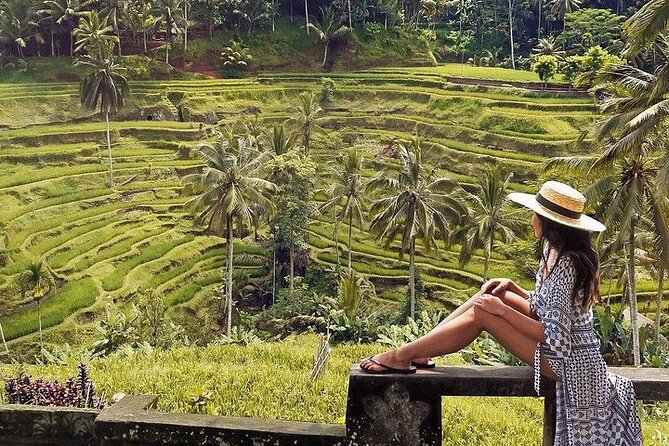 Ubud: Swing - Monkey Forest - Waterfall - Temple - Rice Terraces - Art Crafts - Sacred Monkey Forest: temples among tall trees