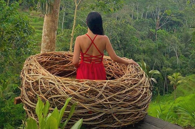 Ubud: Swing - Monkey Forest - Waterfall - Temple - Rice Terraces - Art Crafts - My Swing Bali: a photo stop with an extra bill