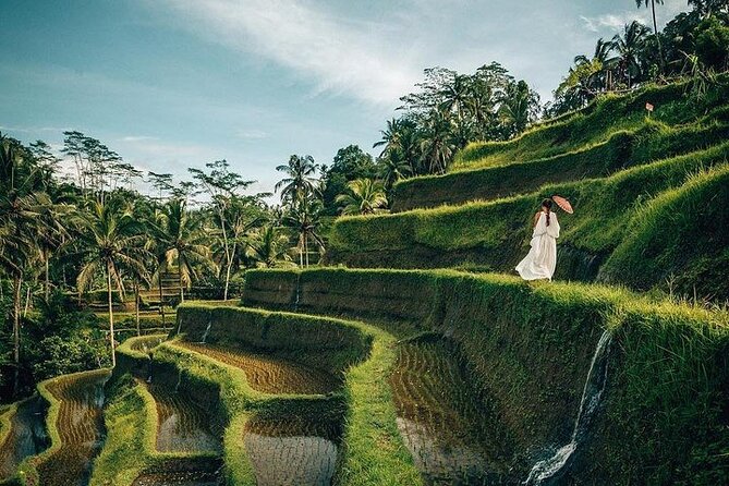 Ubud: Swing - Monkey Forest - Waterfall - Temple - Rice Terraces - Art Crafts - Tegenungan Waterfall: tropical scenery with a short visit