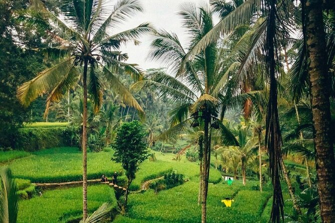 Ubud Temples, Waterfalls, Rice Terraces & Balinese Culture - Tukad Cepung Waterfall: the most active stop