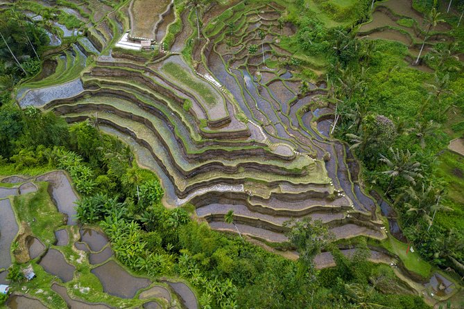 Ubud Top Attractions: Waterfalls, Temples and Rice Terraces - Gunung Kawi Sebatu Temple: the calmest stop