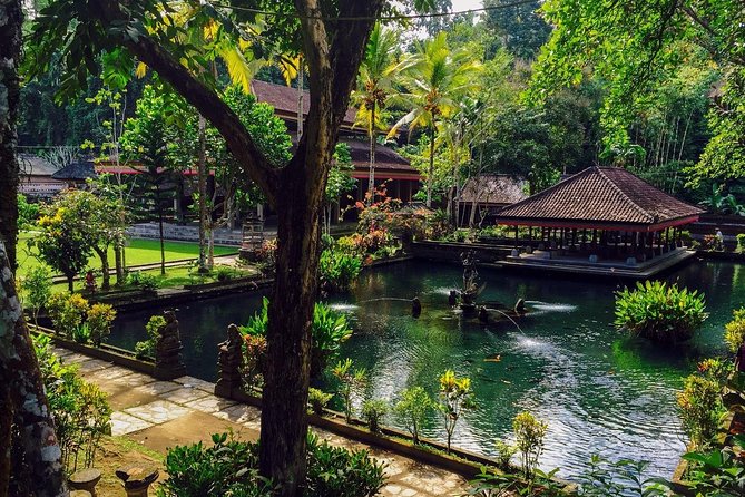 Ubud Top Attractions: Waterfalls, Temples and Rice Terraces - d’Alas Swing: big views and a short visit