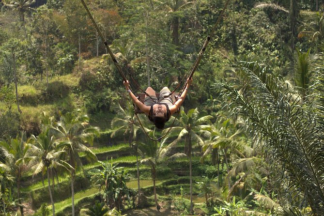 Ubud Top Attractions: Waterfalls, Temples and Rice Terraces - Tegalalang Rice Terrace: a short walk through working fields