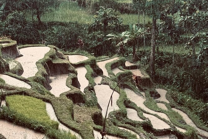 Ubud Top Tours to Discover Bali’s Cultural and Natural Wonders - Key points to know before booking