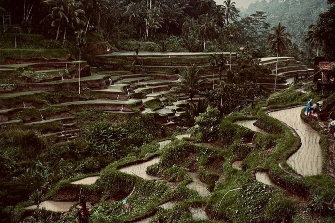 Ubud Top Tours to Discover Bali’s Cultural and Natural Wonders - Why this private Ubud day works