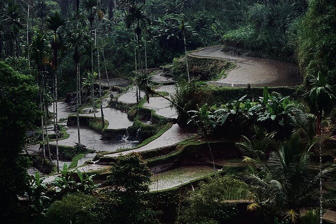 Ubud Top Tours to Discover Bali’s Cultural and Natural Wonders - What the $64 price really covers