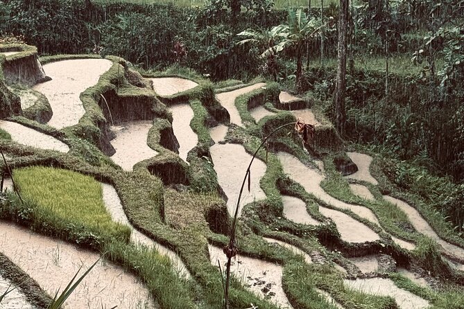 Ubud Top Tours to Discover Bali’s Cultural and Natural Wonders - The driver can make or break the day