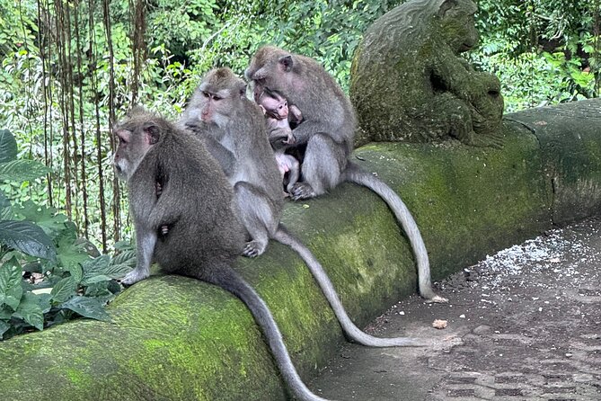 Ubud Top Tours to Discover Bali’s Cultural and Natural Wonders - Cooling off at Ulu Petanu Waterfall
