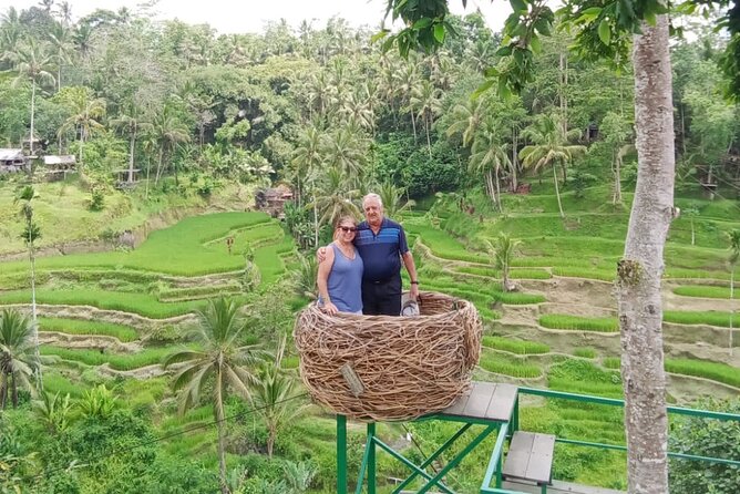 Ubud Tour - Best of Ubud - All Inclusive - Monkey Forest: trees, macaques, and a little caution