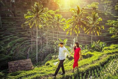 Ubud Tour : Best of Ubud with All inclusive