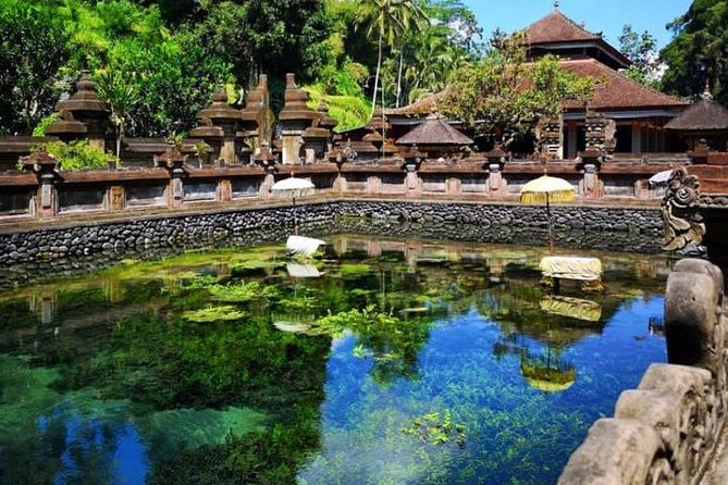 Ubud Tour : Best of Ubud with All inclusive - Monkey Forest puts macaques beside temple ruins