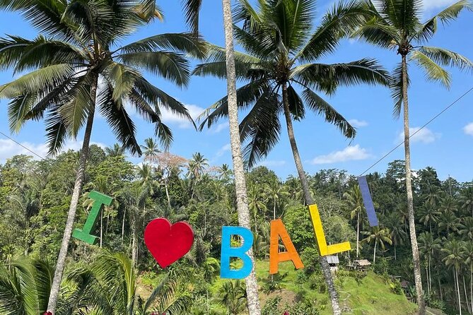 Ubud Tour - Highlight of Ubud - Traditional Tour - What this Ubud day is really designed to do
