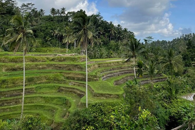 Ubud Tour - Highlight of Ubud - Traditional Tour - Starting at Puseh Batuan Temple