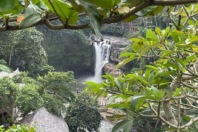 Ubud Tour - Highlight of Ubud - Traditional Tour - Walking through Tegalalang Rice Terrace