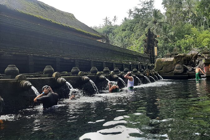 Ubud Tour - Highlights of Ubud - Why this private Ubud tour works well