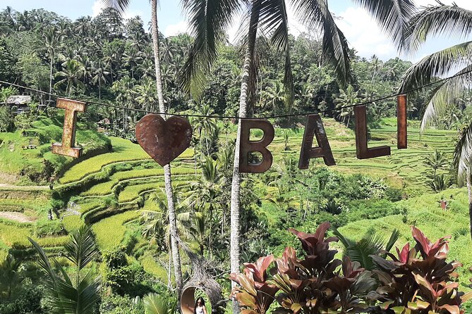 Ubud Tour - Highlights of Ubud - Tegalalang Rice Terrace: the big photo stop