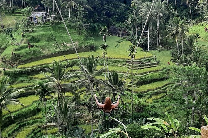 Ubud Tour - Highlights of Ubud - Lunch at D Alas Warung