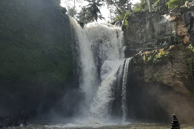 Ubud Tour - Highlights of Ubud - Sacred Monkey Forest: a green finish in Ubud