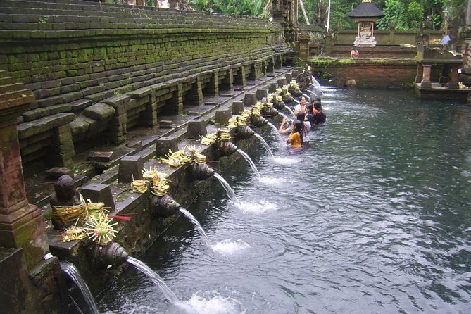 Ubud Tour - Ubud Highlight - Private Tour All inclusive - Tegalalang Rice Terrace: famous views with real footwork