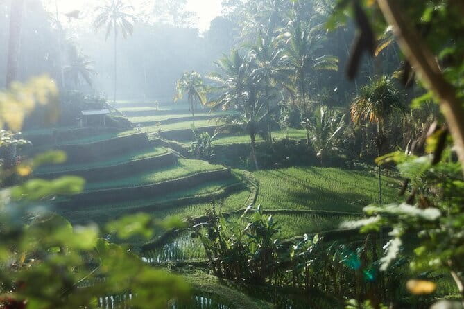 Ubud Tour Water Temple with Jungle Swing - Tirta Empul and the Meaning of Sacred Water
