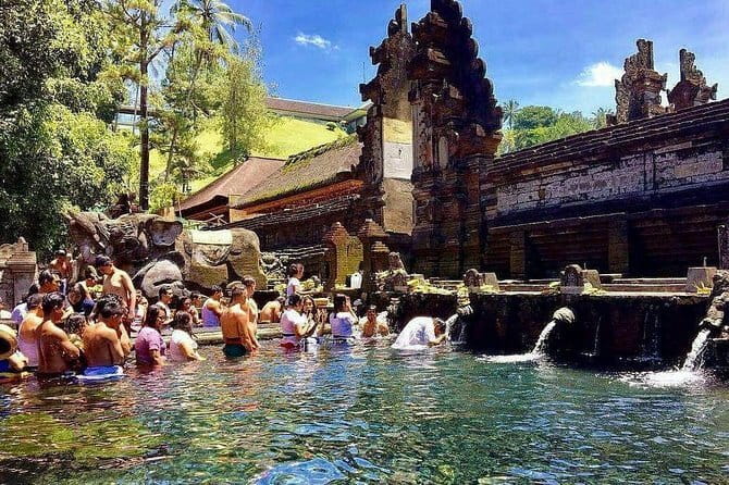 Ubud Tour Water Temple with Jungle Swing - Why the Private Driver Makes the Difference