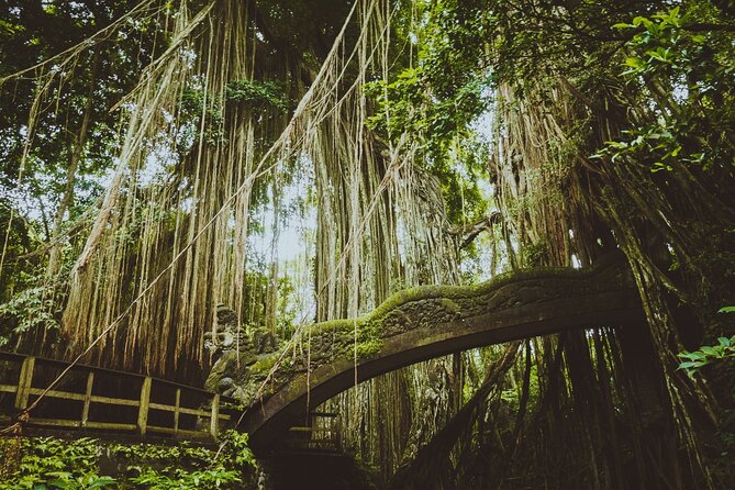 Ubud Tour Waterfall Rice Terrace Temple and Art Village - Private Car, Guide, and Road Time