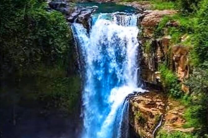 Ubud Tour with all includes - Why this $35 Ubud tour offers strong value