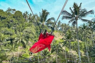 Ubud Tour with all includes