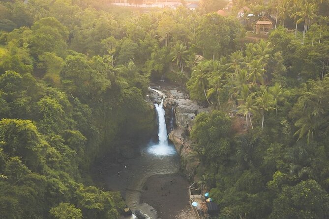Ubud Tour with Jungle Swing and Waterfall Water Temple - Tegalalang Rice Terrace and the shape of Balinese farming