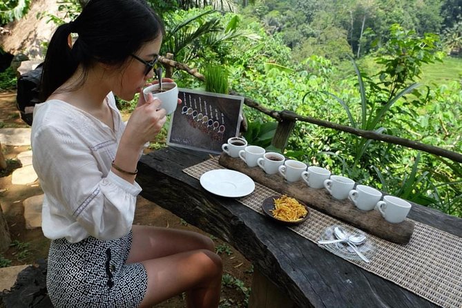 Ubud Tour with Swing, Temple, Monkey Forest, and Waterfall - Cooling off at Tegenungan Waterfall