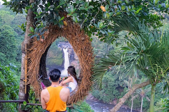 Ubud Trip, The Best of Ubud in a day - All Inclusive - What this private Ubud day is really like