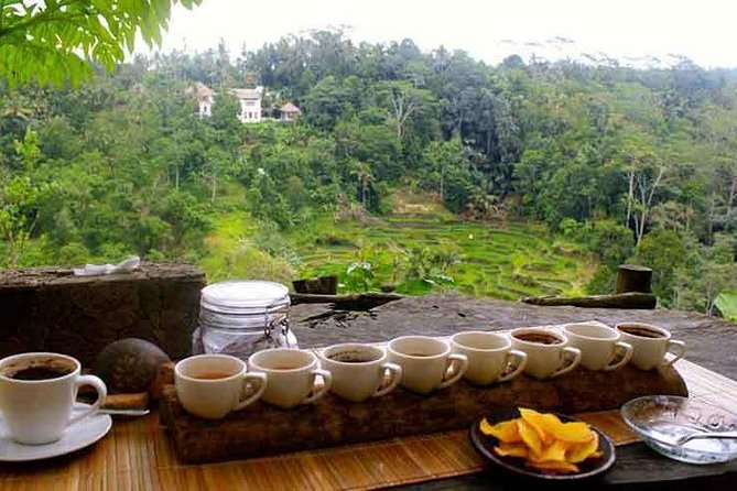 Ubud Trip, The Best of Ubud in a day - All Inclusive - Tegalalang Rice Terrace: Bali’s famous farming view