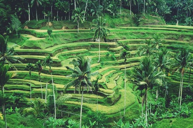 Ubud Trip, The Best of Ubud in a day - All Inclusive - Celuk Village: traditional silver and gold work