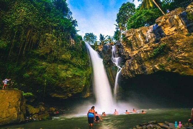 Ubud Trip, The Best of Ubud in a day - All Inclusive - Why the guide matters more than the route