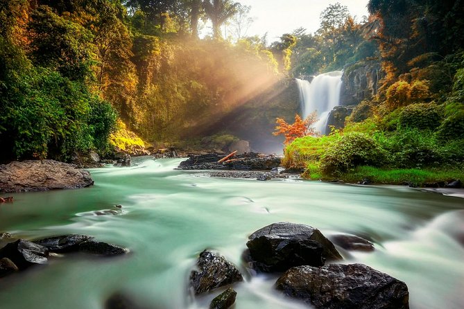Ubud Village Sightseeing, Famous Paddy Field And Ubud Waterfall - Ubud Market and Palace: A Lively First Stop