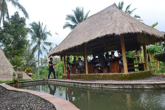 Ubud Village Sightseeing, Famous Paddy Field And Ubud Waterfall - Tirta Empul: A Holy Spring Temple With Living Ritual