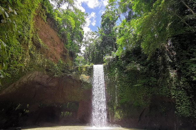 Ubud Village, Tegalalang Rice Terrace Swing, Tirta Empul Temple and Waterfafall - Why this route works from Seminyak