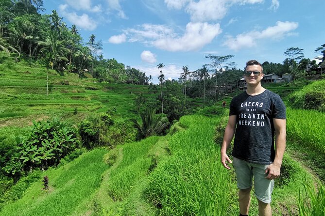 Ubud Village, Tegalalang Rice Terrace Swing, Tirta Empul Temple and Waterfafall - The private vehicle and the role of the driver
