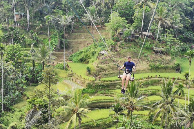 Ubud Village, Tegalalang Rice Terrace Swing, Tirta Empul Temple and Waterfafall - What the $32.24 price really covers