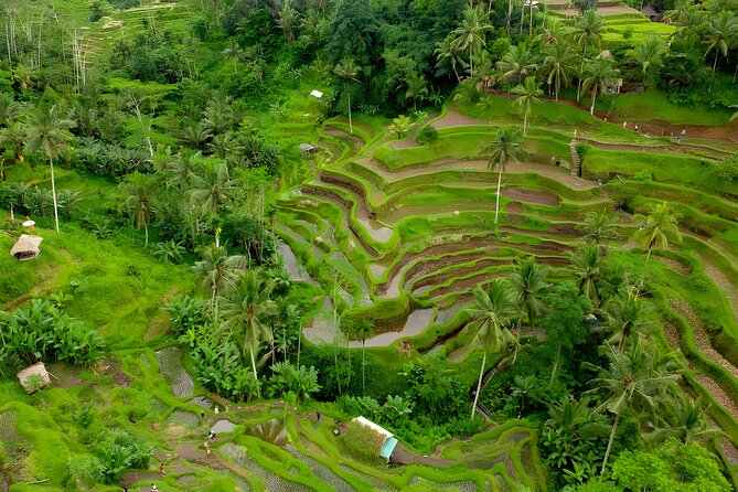 Ubud Village, Waterfall and Kintamani Volcano Tour - Kintamani and Mount Batur bring the grandest views